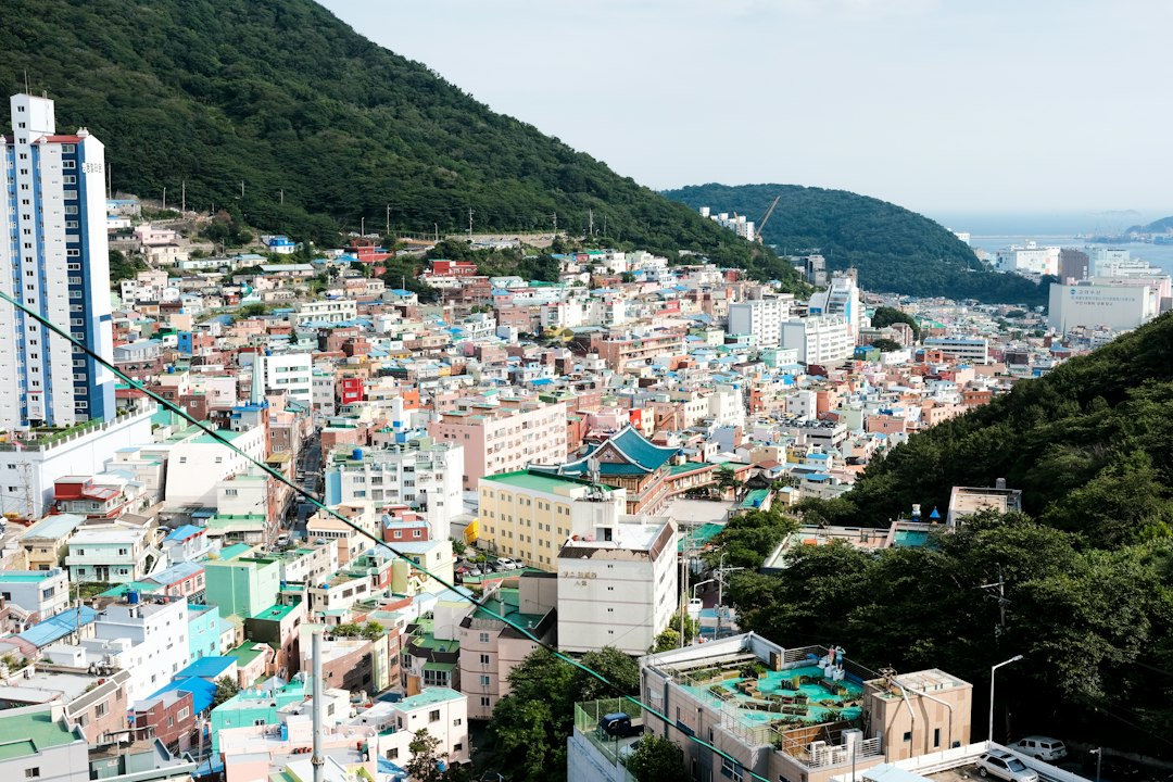 영수증리뷰 참고 이미지 2