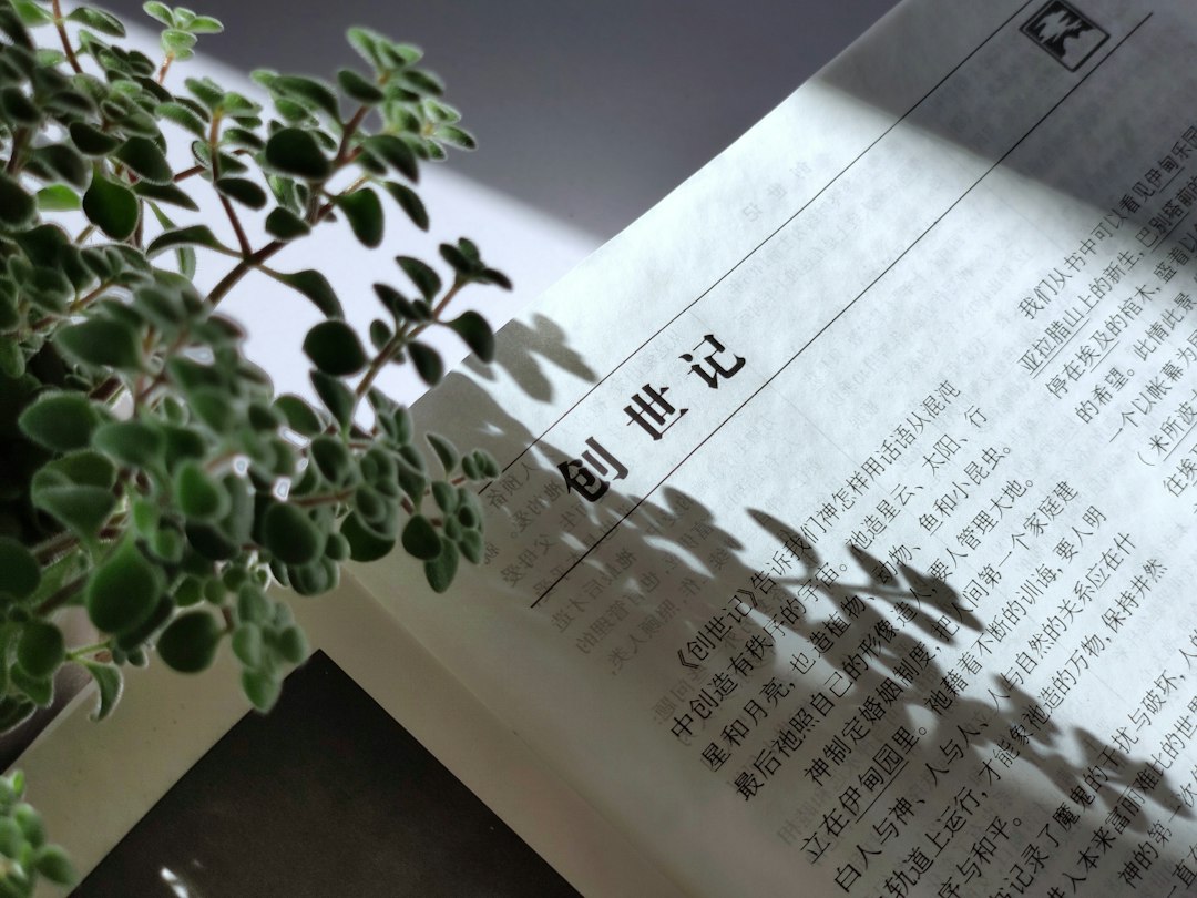 리뷰대행업체 참고 이미지 2